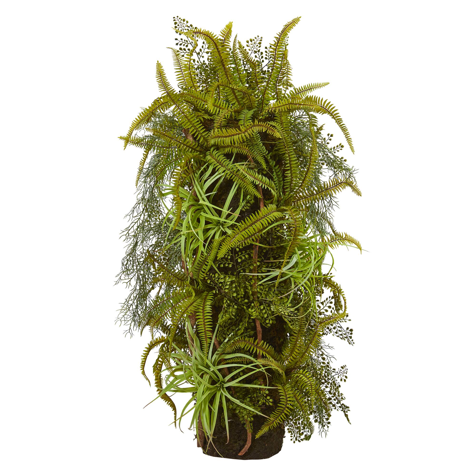 3.5ft. Mixed Forest Foliage Plant On Trunk